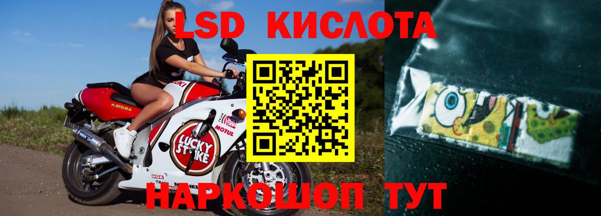 Елизово  LSD-25 экстази ecstasy  Вход с VPN  ЛСД экстази кислота 