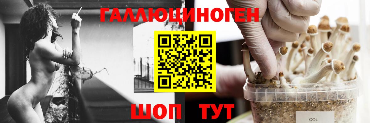 Псилоцибиновые грибы мицелий Елизово